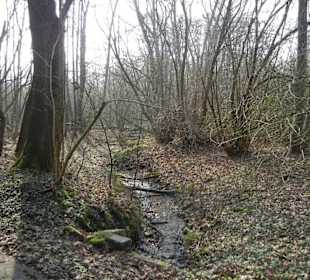 Wunderschöne Boberger Niederung