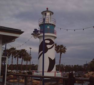 Leuchtturm des Sea World