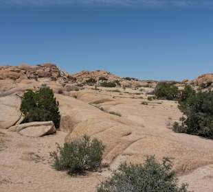 Joshua Tree National Park