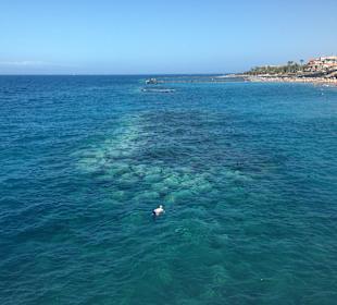 Costa Adeje Gran Hotel