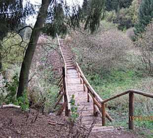 Kleine Brücke über die Rappbode