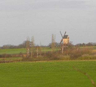 Bockwindmühle Wettmar