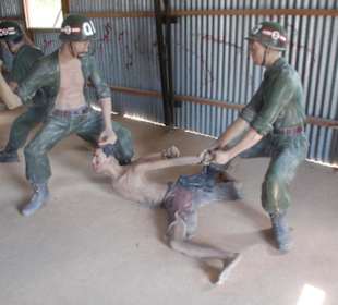 Das Kokosnuss Gefängnis