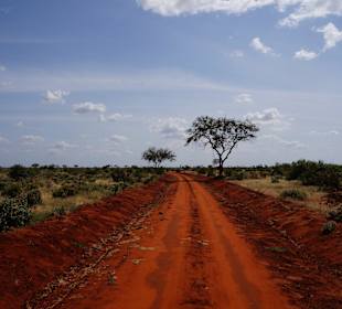 Der Weg ist das Ziel und dieser ist schön