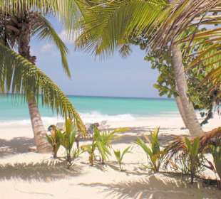 Nochmal Ausflug nach Saona