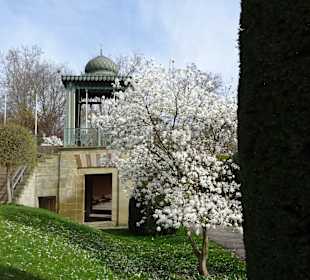 Wilhelma Stuttgart