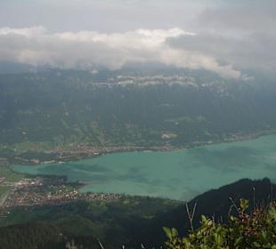 Blick auf den Bregenzer See