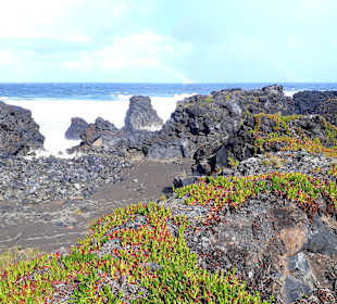 Inselrundfahrt Nordküste