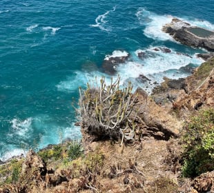 Wandern Puerto de la Cruz