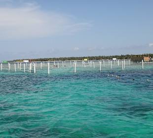 Abgesperrter Bereich