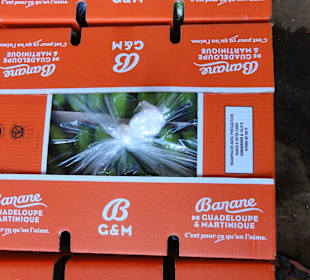 Bananenkartons vor dem Kühltransport