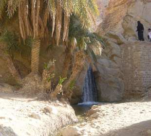 Wasserfall in der Oase