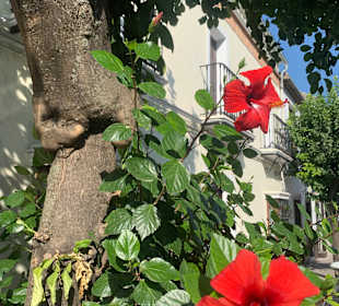 Stadtrundgang Novo Sancti Petri