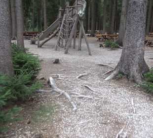 Dinosaurier Museum Altmühltal