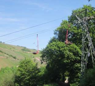 Impressionen Kräuterweg in Assmannshausen