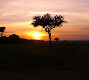 Sonnenaufgang in der Masai-Mara