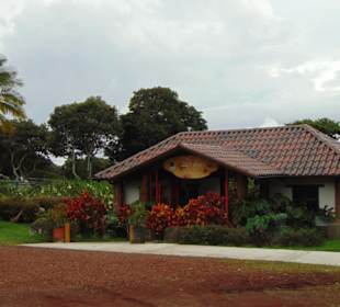 Doka Estate Kaffeeplantage