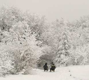 Schlittenfahren, hier macht's besonders viel Spaß