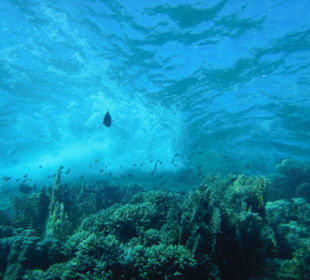 In einer anderen Welt