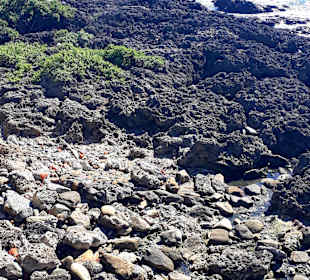 Wandern Kenting NP Chuanfan Rock (Segelfelsen)