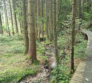 Wandern Miesenbach bei Birkfeld