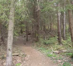 Vitus Mayer Waldlehrpfad