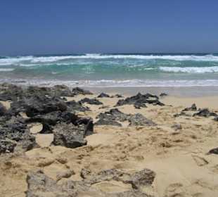 Parco naturale delle dune