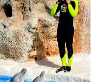 Loro Parque - Delfinshow