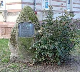  Stadtrundgang Karlsruhe