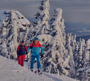 Skigebiet Großer Arber
