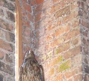 Kloster Chorin