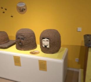 Museum Natur und Mensch