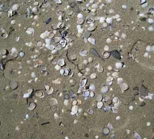 Der Strand 1 bis 2 km weiter