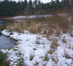 Naturschutzbereich