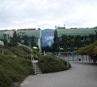 Ogród na dachu Biblioteki Uniwersyteckiej