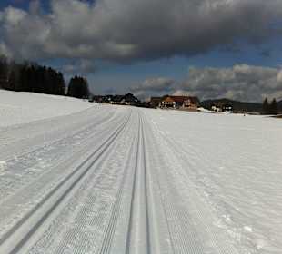 Schöne Loipenlandschaft