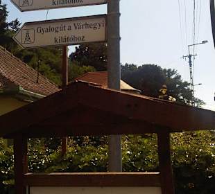 Einstiegspunkt für den Wanderweg