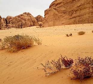 Wüstenlandschaft Wadi Rum