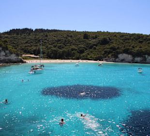 Antipaxos