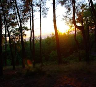 Sulahikulle - Vergessene Stadt