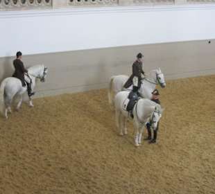 Spanishe Hofreitschule