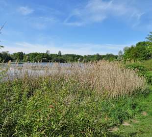 Eindrücke vom Spielmannsteich