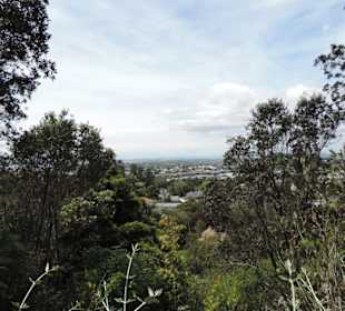 Eden Garden ein Paradies mitten in der Stadt