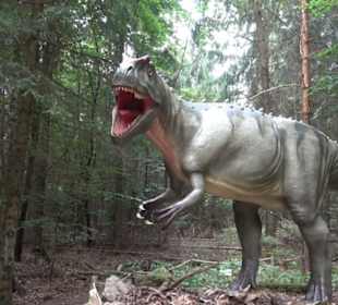 Dinosaurier Museum Altmühltal