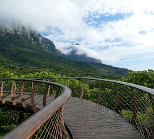 Kirstenbosch, Botanischer Garten