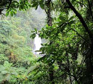 Ausflug auf Dominica