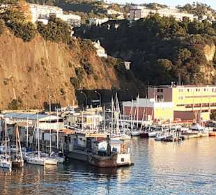 Blick vom Schiff auf den Hafen Savona