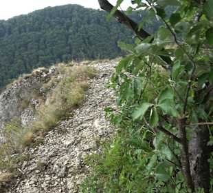 Tour entlang der Traifelbergfelsen