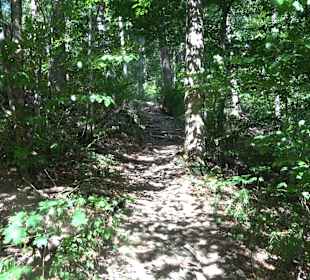 Wandertour Greifensteinrunde