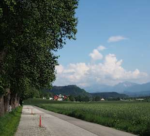 Burg Landskrohn von Felden aus